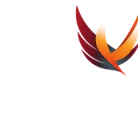 CZ Consulting New Logo PNG White Text_edited